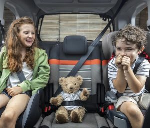 Cinturón de seguridad