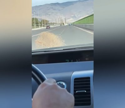 Estepicursores Almería