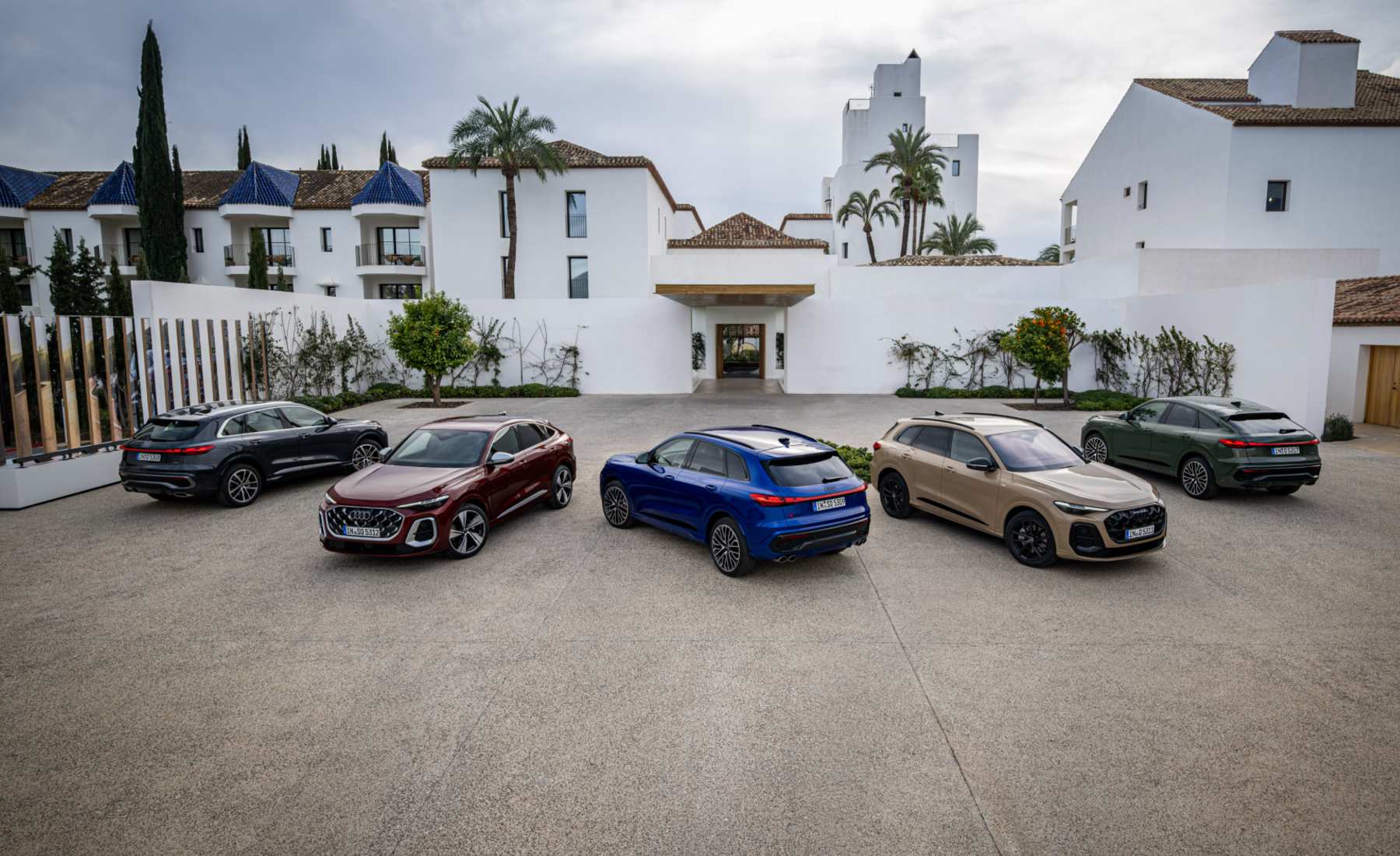 Carfax coches premium