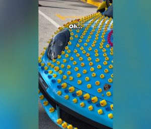 Porsche cubierto de patos