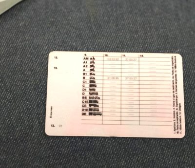 carnet por puntos dgt