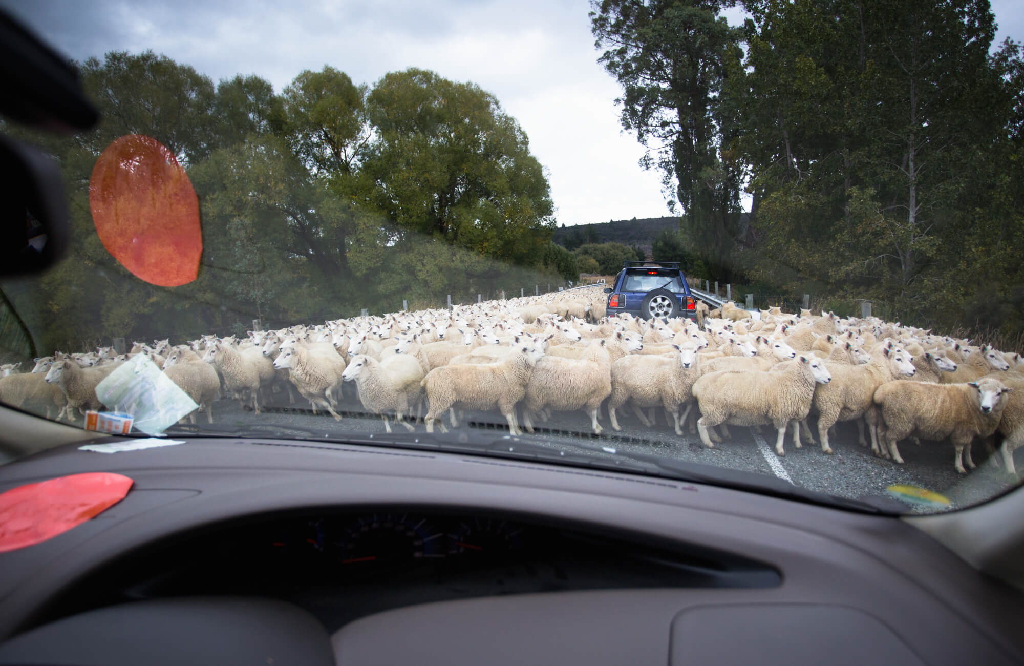 normas conducir extrañas