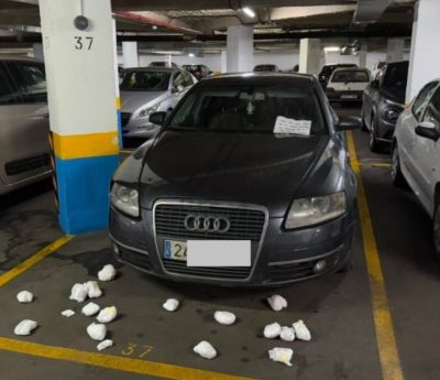 viral pañal coche aparcado