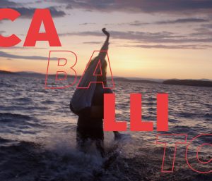 Caballito Amaia Seat