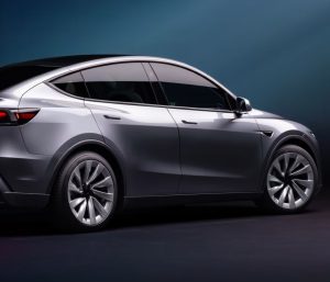 coche barato de Elon Musk