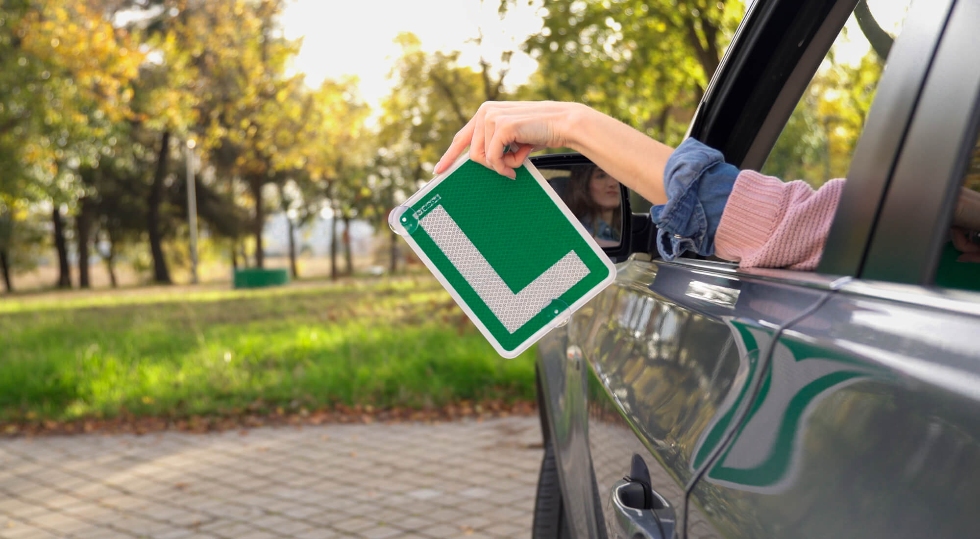 l de conductor novel