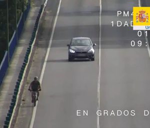 dgt ciclista conductor