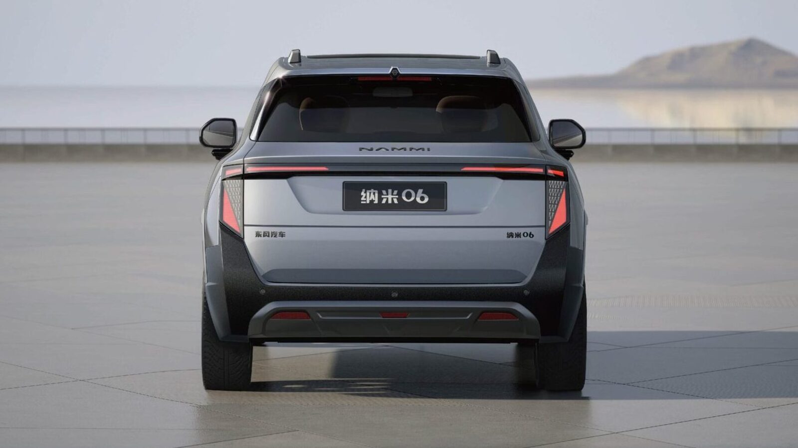 dongfeng nammi 06