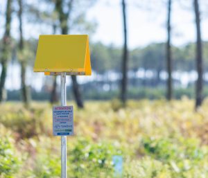 postes triangulo lateral carretera