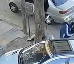 robo techo coche peugeot