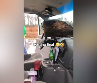 Destino Final viral accidente coche