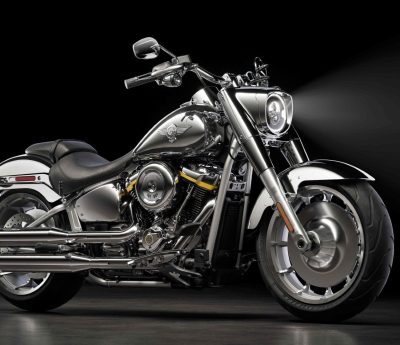 Harley Davidson Fat Boy Gray Ghost