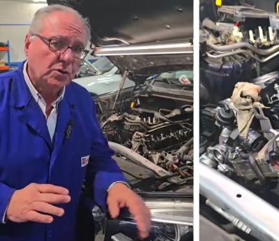 Mecánico limpieza cáscara nuez