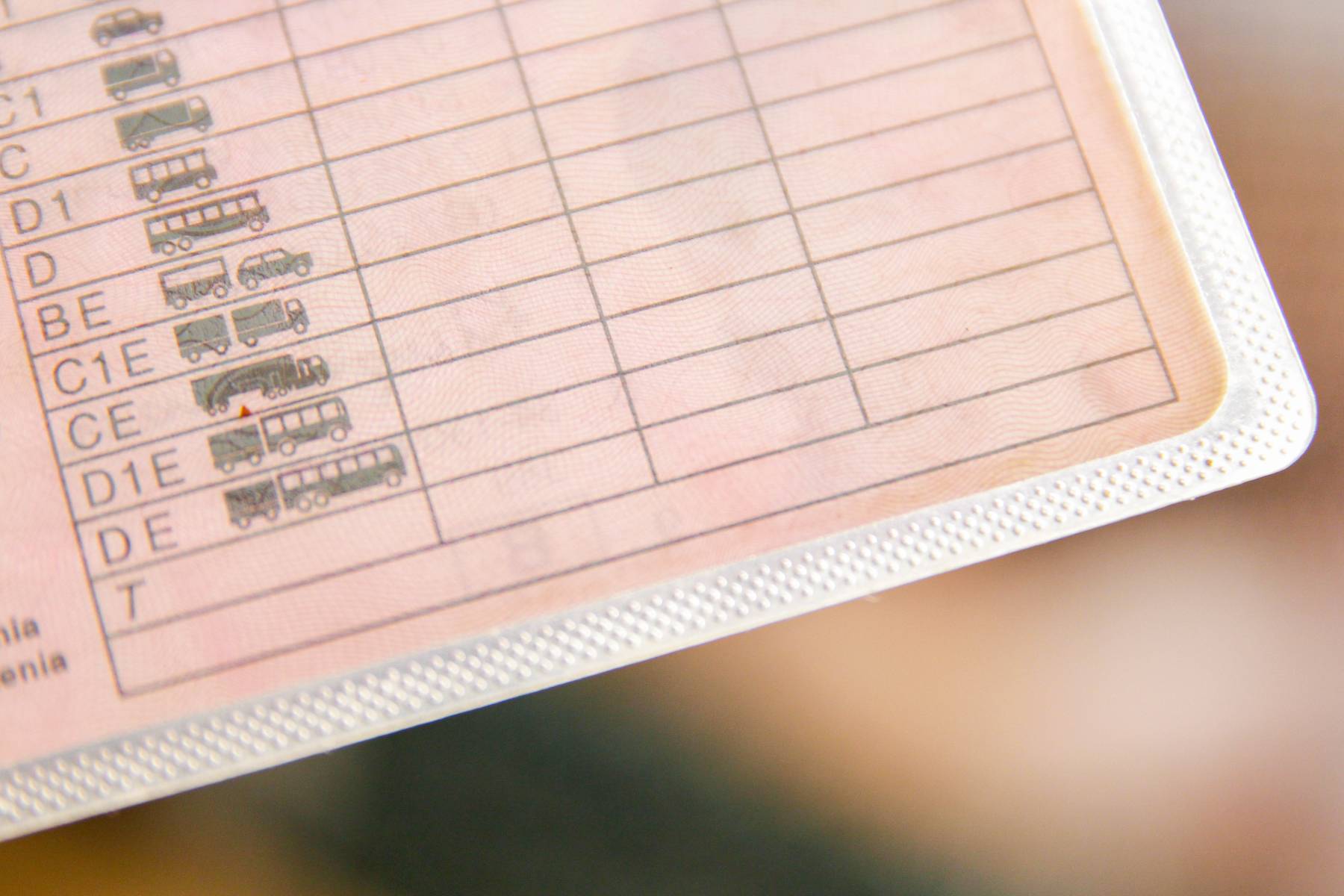 conductora carnet puntos