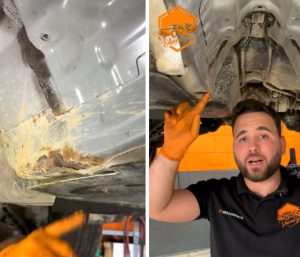 coches segunda mano alemania