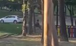 Un conductor siembra el caos en un parque infantil de Madrid: la Policía trata de alcanzarlo y la escena es digna de un videojuego