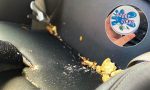 El vídeo viral de la ‘goma mágica’ que arrasa en TikTok porque lo limpia todo y llega a cualquier rincón del coche