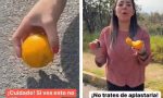 Cuidado: así es como con una naranja, moneda o botella logran robar los coches (y así puedes evitarlo)
