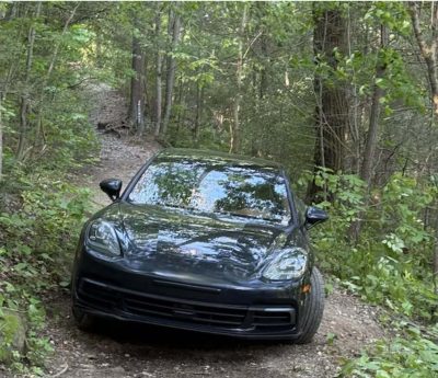 viral porsche panamera