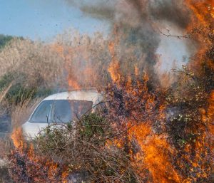 Incendio campo coche