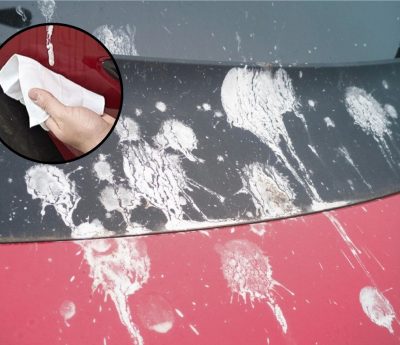 excremento de ave carrocería coche