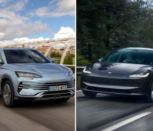 tesla versus byd batería