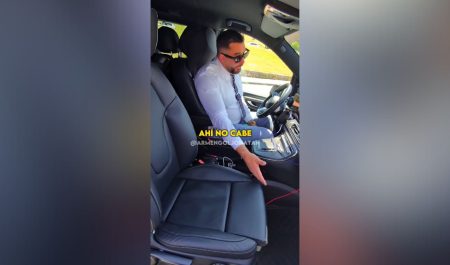 Taxista perro guía