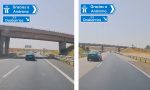 Va conduciendo por Toledo y se encuentra esto de frente en el arcén: furia en Instagram
