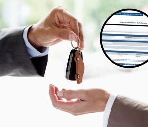 Informe reducido de la DGT