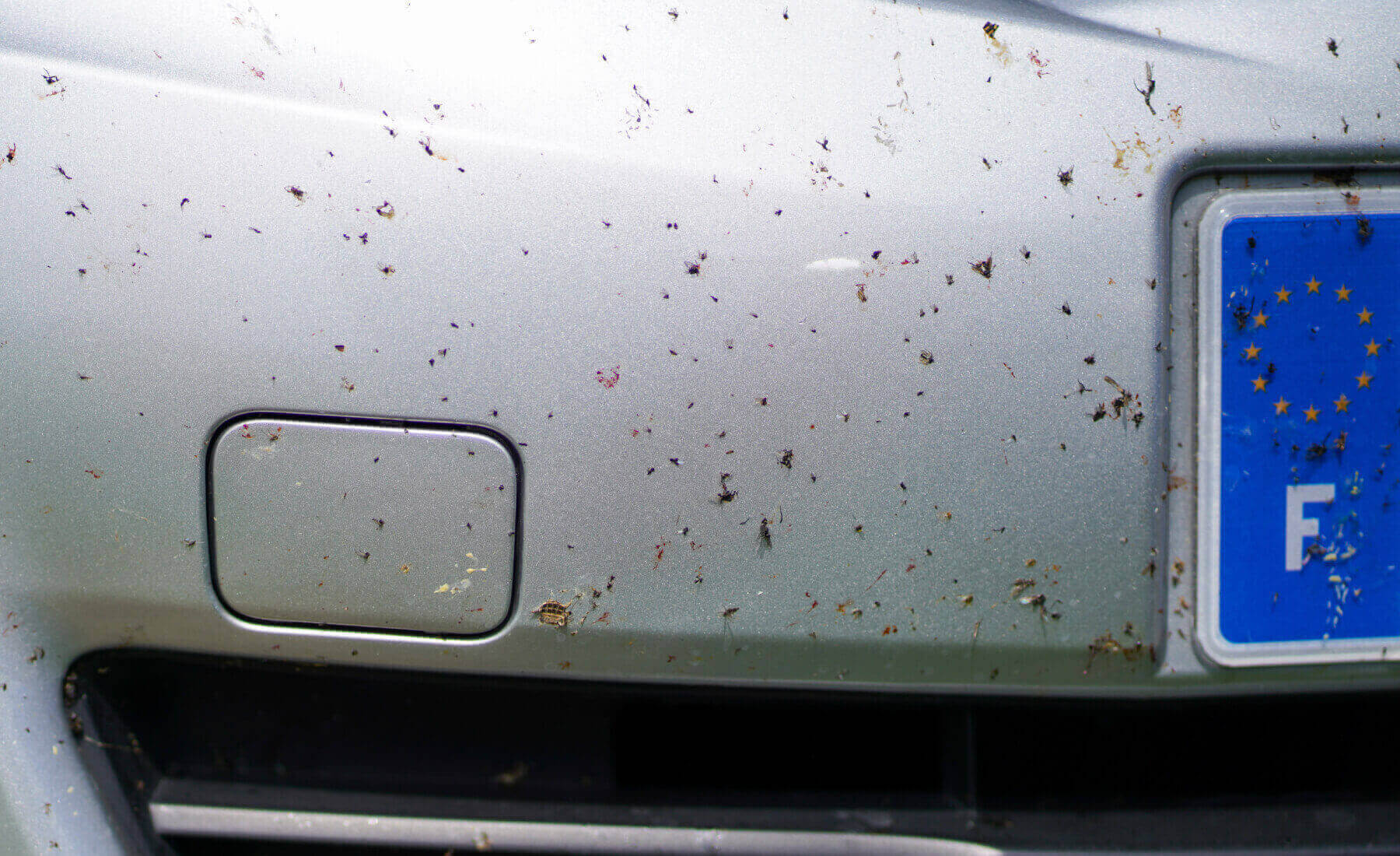 matricula de francia