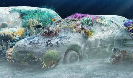 22 coches debajo del mar