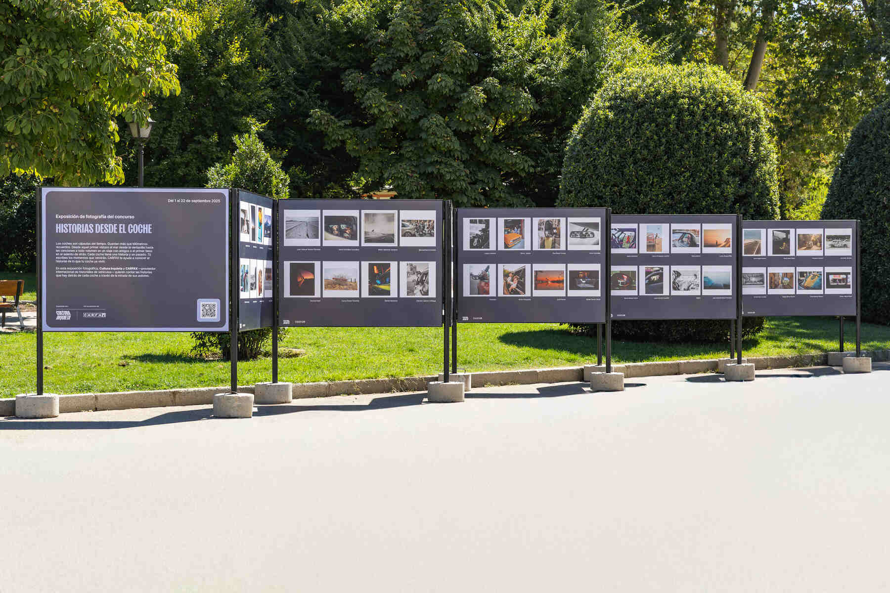 Dia mundial coche usado