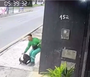 Reacción atropello brasileño