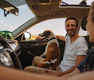 coche perro asiento delantero