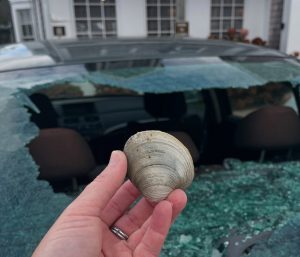 parabrisas roto coche gaviota