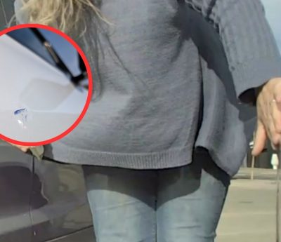 Modo centinela tesla