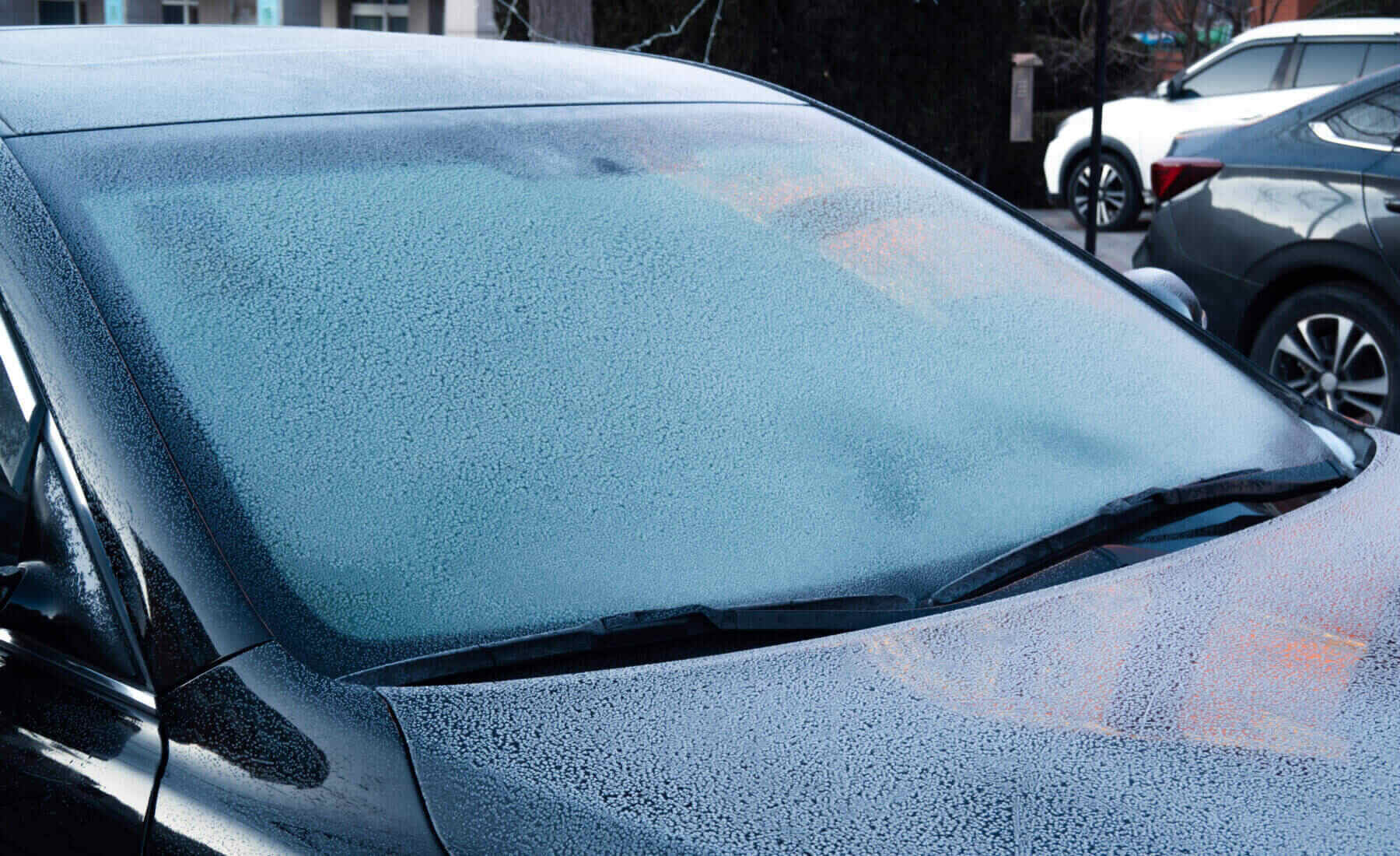 mas consumo invierno