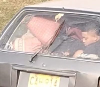 Coche mudanza mascota