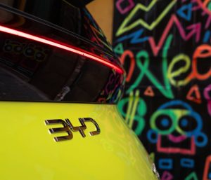 byd pantalla giratoria