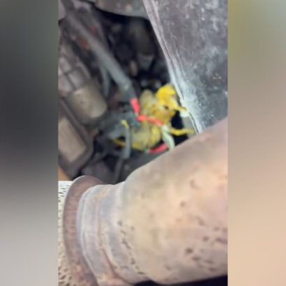 Su mecánico le envió este vídeo porque no podía creer lo que encontró bajo el coche: “¿Cada cuántos kilómetros se cambia la 'rata de arranque'?”