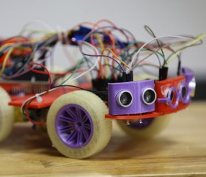 coche experimento viral