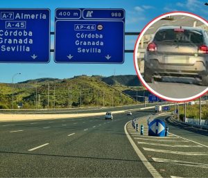 pegatina verde northgate coche