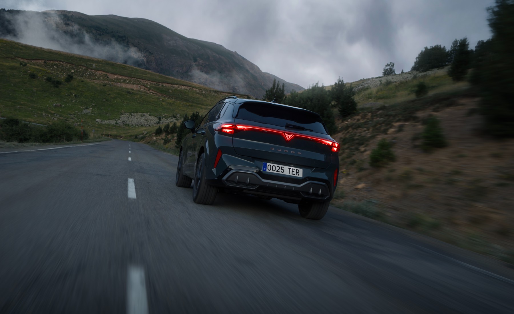 Cupra Terramar Trasera