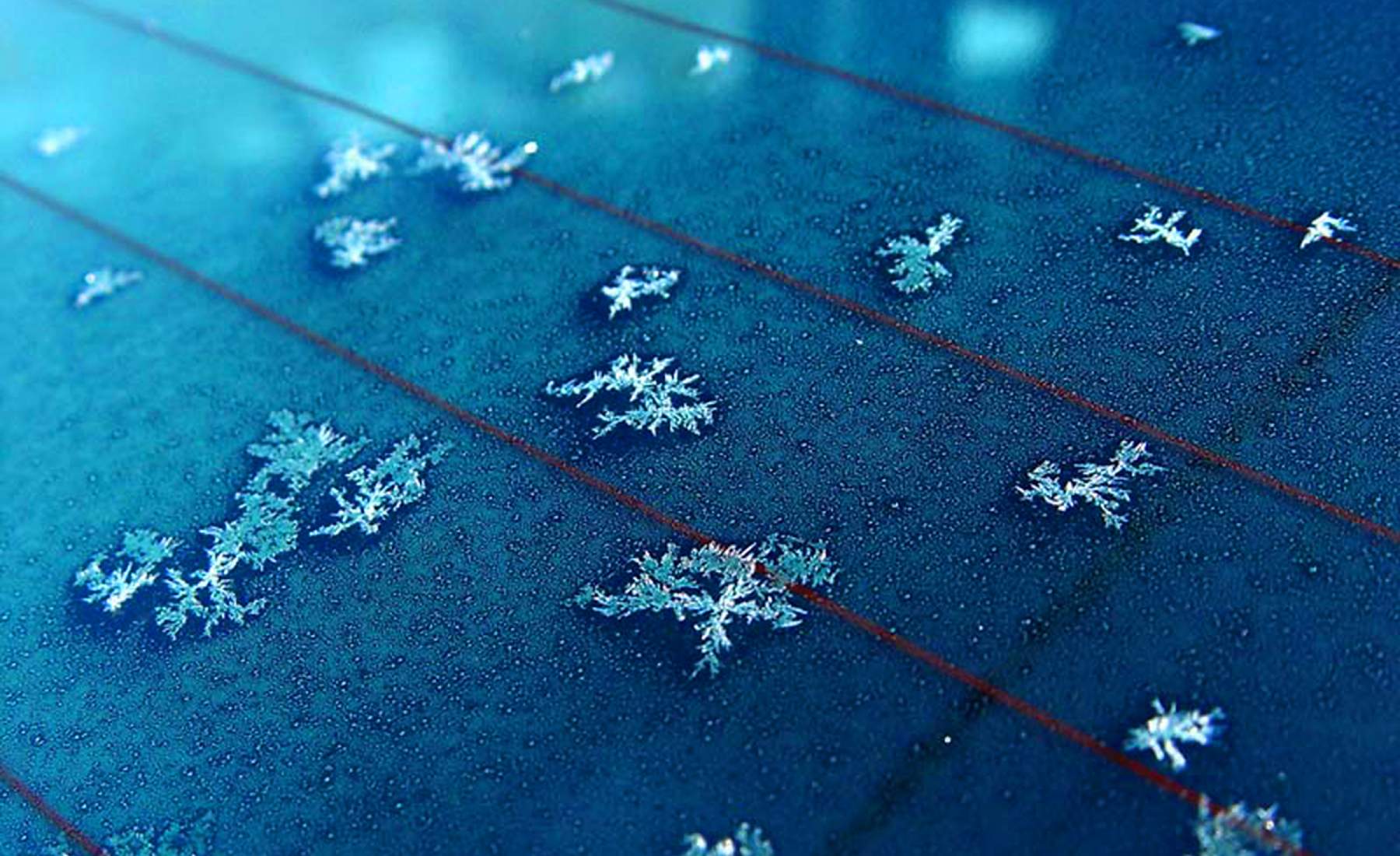 filamentos luna trasera