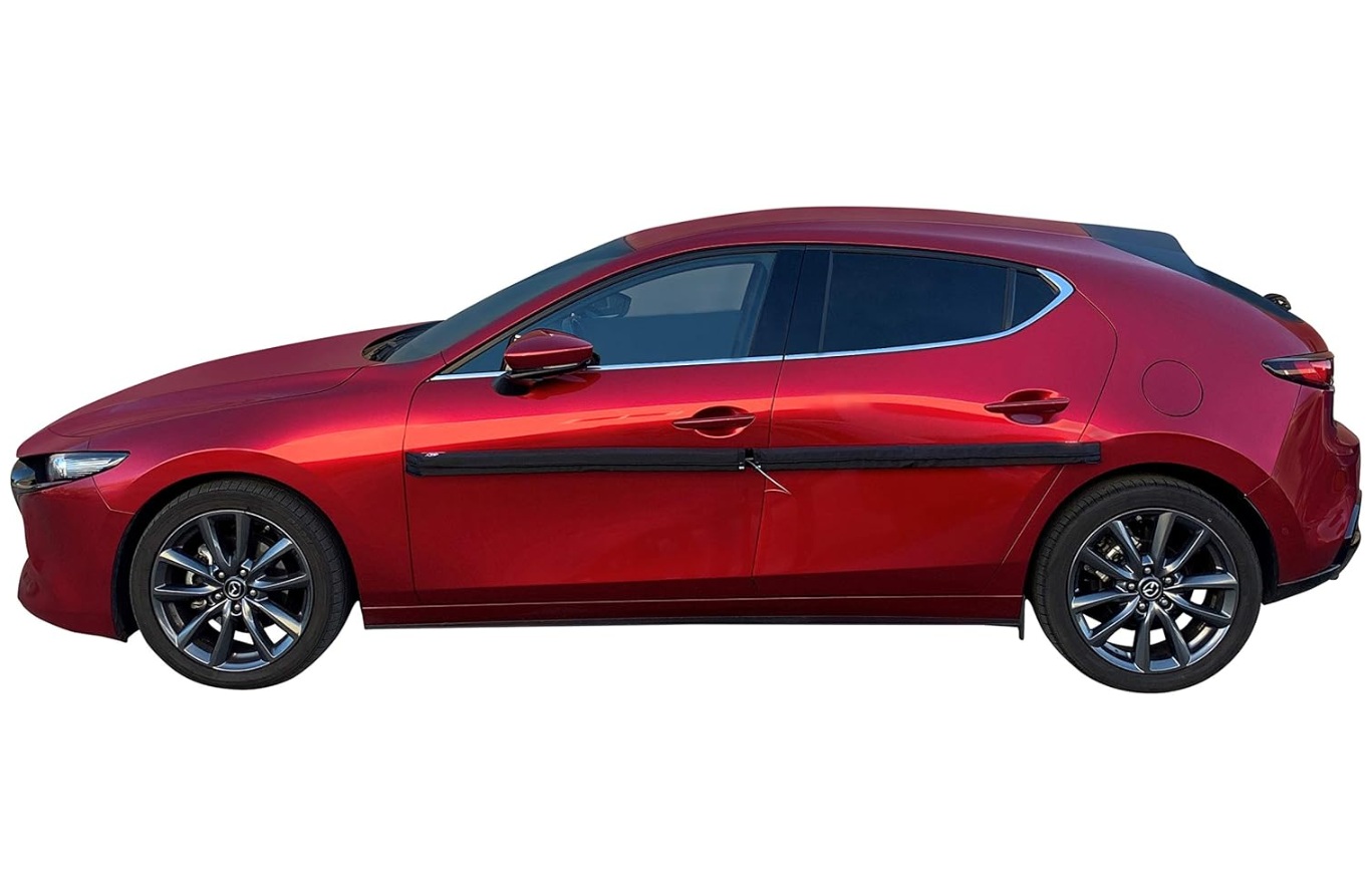 protector puerta coche