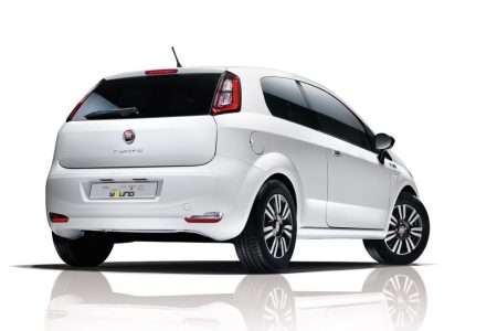 Panda Young y Punto Young, exclusivos italianos