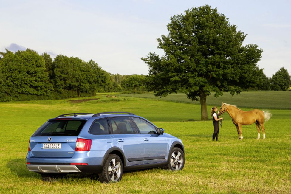 Skoda Scout