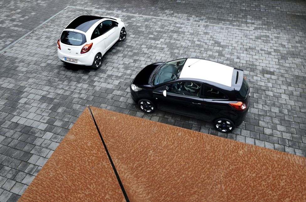 Fiesta y Ka Black & White