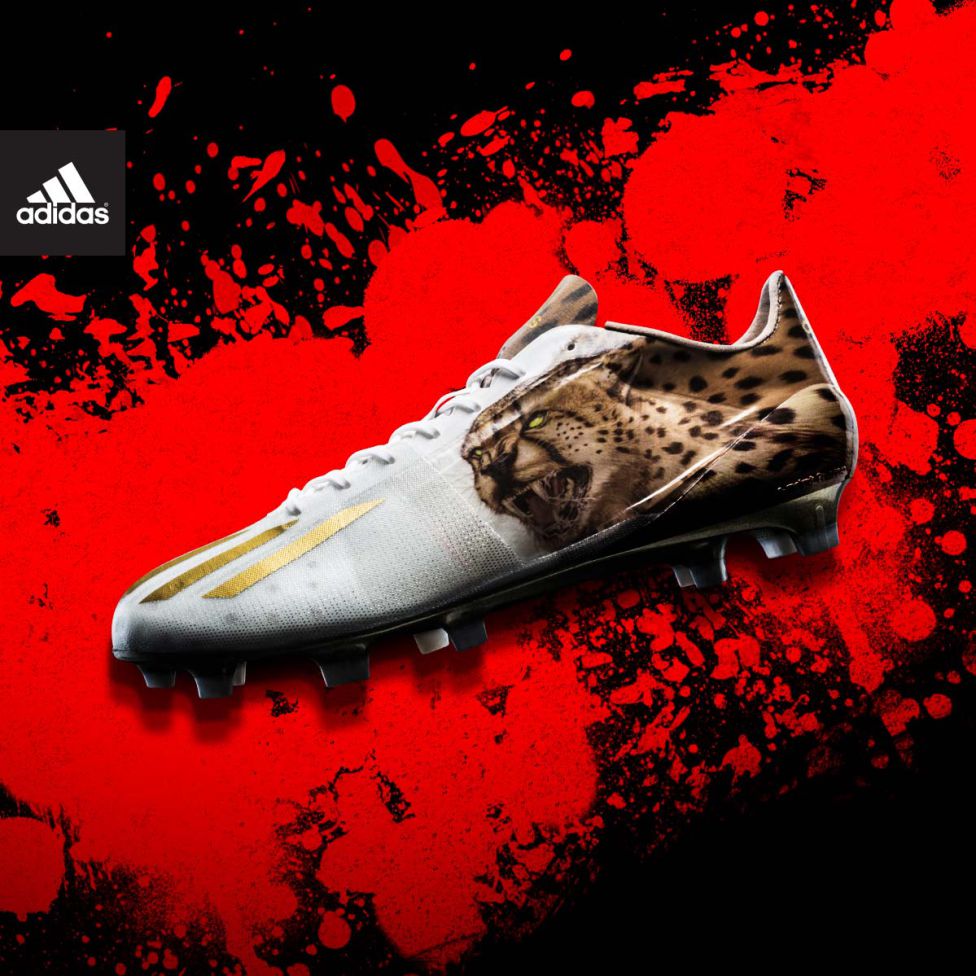 Porsche 911 Adidas NFL