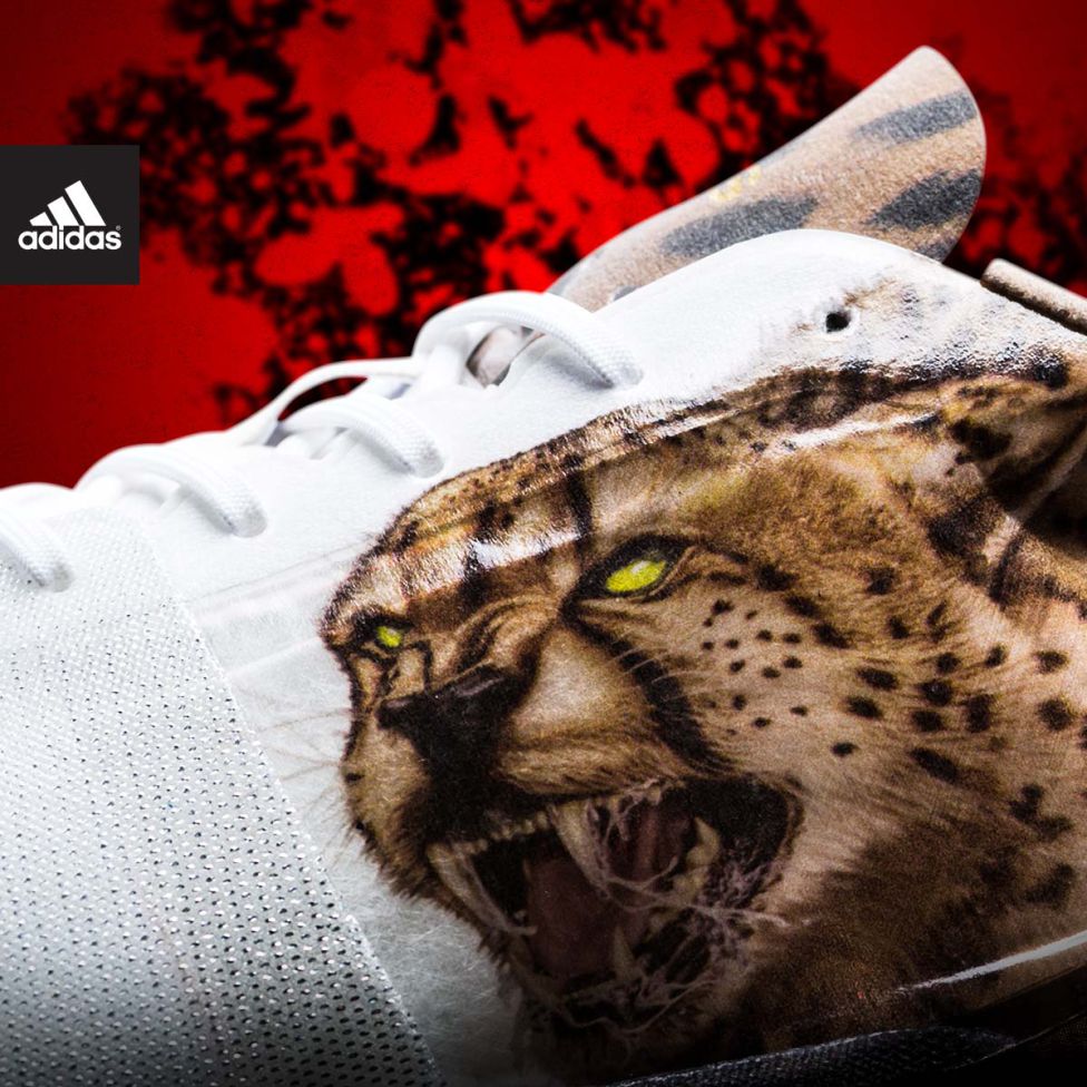 Porsche 911 Adidas NFL